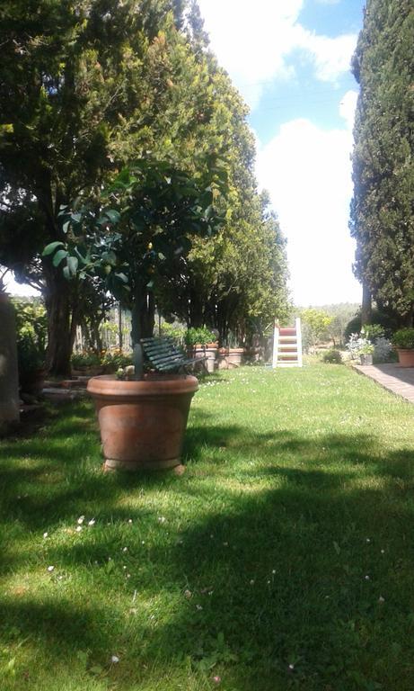 La Vecchia Quercia *