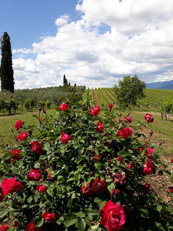 La Vecchia Quercia Agroturismo *