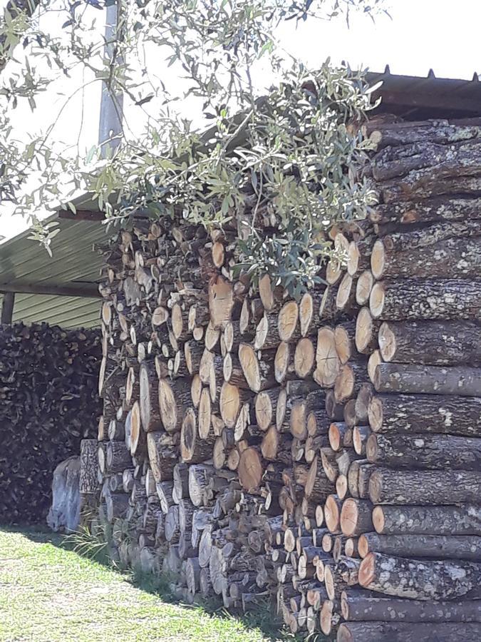 Farm stay La Vecchia Quercia Pergine Valdarno