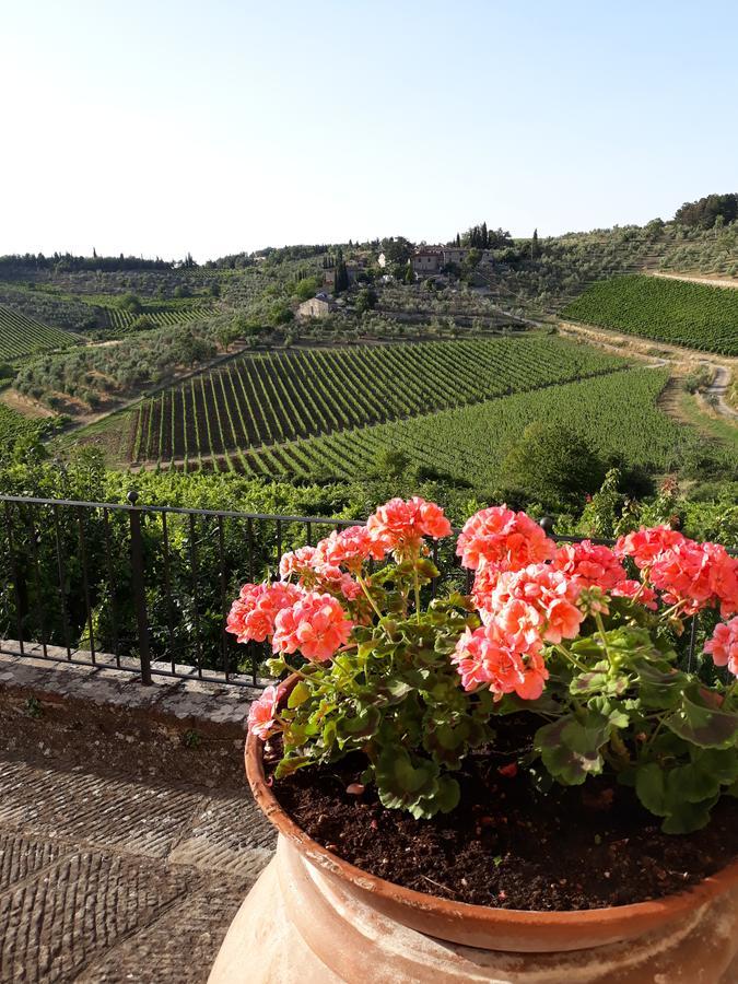 Agroturismo La Vecchia Quercia