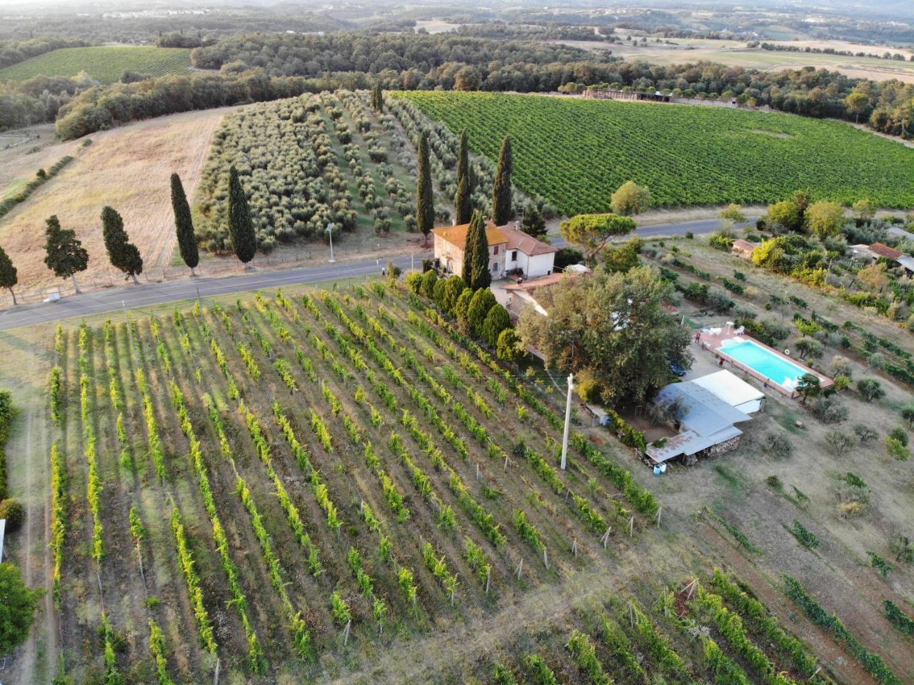 La Vecchia Quercia *